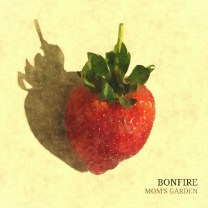 image_20150810203622580